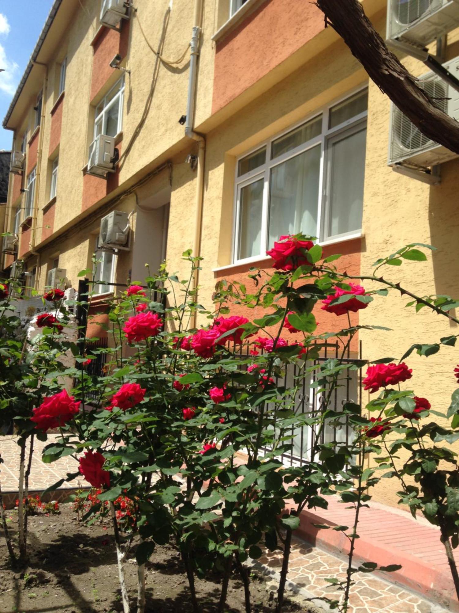Sultanahmet Deluxe Yilmaz Apart Istanboel Buitenkant foto